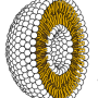 liposome_cross_section.png