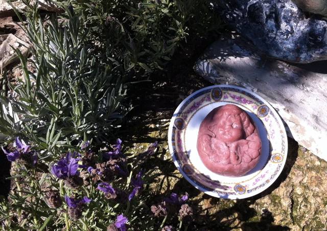 walpurgi_engel.jpg walpurgi_engel.jpg